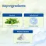 Seapuri: Scalpy Bubble Tonic | Skin Care | Deep Scalp Exfoliation | Soothes Irritation | 100ml
