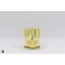 Cathy Doll: Snail Firming Cream Snail Gold | Anti-Aging Face Cream with Snail Mucin & 24K Gold | Wrinkle Care |  50gm