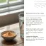 Ecotyl: Citrus Radiance Face Pack | Tan Removal & Glow | 75gm