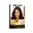 Bblunt: Salon Secret High Shine Conditioning Hair Colour | Honey Light Golden Brown | 100% Grey Coverage | Conditioning Formula | High Shine Finish | 130gm