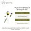 Ecotyl: Extra Virgin Olive Oil | Cold Pressed | Suitable for Cooking | 500ml
