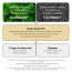 VT Cosmetics: Snail Reedle Shot 100B | Snail Mucin | Barrier Repair | Micro-Needling | Skin Renewal | Soothing | 50ml