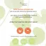 Apieu: The Pure Tea Tree Spot Serum | Radiance | Targeted Care | Healthy Glow | Hydration | 8ml