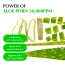 Eqqualberry: Aloe PDRN Calming Serum | Soothing Face Serum | Barrier Repair | Hydrating | Sensitive Skin | 30ml