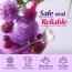 Eqqualberry: Bakuchiol Plumping Serum | Anti-Aging Face Serum | Firming | Fine Line Care | Collagen Boost | 30ml