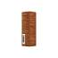 Foxtale: Plumping Ceramide Lip Balm for Hydrated & Smooth Lips with Gloss Finish | Tiramisu | 3.5ml
