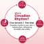 Oteria: Strawberry Tinted Lip Plumping Balm | With Encapsulated Peptides, Vitamin E & Caffeine | 10g
