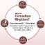 Oteria:  Chocolate Tinted Lip Balm | With Cocoa Butter, Encapsulated Peptides & Vitamin E | Smooth, Plump Lips | 10g