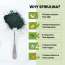 Vlado's Himalayan Organics: Spirulina - 2000mg - 120 Veg Capsules