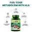 Vlado's Himalayan Organics: Alpha Lipoic Acid 300mg | Boost Liver Function, Healthy Blood Sugar, Antioxidant | Good For Nerves And Heart Functioning - 60 Veg Capsules