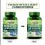 Vlado's Himalayan Organics: Probiotics Supplement 50 Billion CFU with Prebiotics 150mg for Digestion, Gut Health & Immunity - 60 Veg Capsules