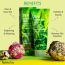 Farmstay: Green Tea Seed Premium Moisture Foam Cleansing - 100ml