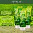 Farmstay: Green Tea Seed Premium Moisture Foam Cleansing - 100ml