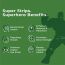 Wellbeing Nutrition: Marvel Hulk Melts | Kids Vegan Algae Omega-3(EPA & DHA), Alpha GPC - Strawberry Mint Flavor (30 Oral Thin Strips)