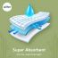 Allter : Allter Diaper (Small)