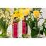 Sukoon: Bahaar hand and body lotion