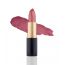 BlushBee Organic Beauty: Lip Nourishing Organic Vegan Lipstick, Spring - 4.2 gms