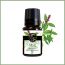Soul & Scents: Basil Essential Oil 10ml
