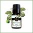 Soul & Scents: Bergamot Essential Oil 10ml