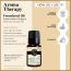 Soul & Scents: Fennel Seed Essential Oil 10ml