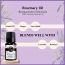 Soul & Scents: Rosemary Essential Oil 10ml