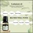 Soul & Scents: Cardamom Essential Oil 10ml