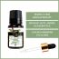 Soul & Scents: Basil Essential Oil 10ml
