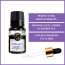 Soul & Scents: Rosemary Essential Oil 10ml