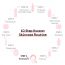 Quench Botanics: Bravocado Intense Brightening Serum | Korean Skin care 30gm