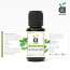 Soulflower: Peppermint Essential Oil - 15 ml