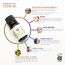 Anveya: Clove Essential Oil - 15 ml