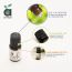 Anveya: Clove Essential Oil - 15 ml