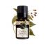Soul & Scents: Cassia Essential Oil 10ml