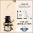 Soul & Scents: Cassia Essential Oil 10ml