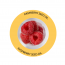 Amayra Naturals: Oxybenzone Free Daily Wear Sunscreen | SPF 30 - 100 ml