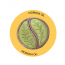 Amayra Naturals: Oxybenzone Free Daily Wear Sunscreen | SPF 30 - 100 ml