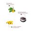 The Skin Story: Moringa Face Gentle Scrub - Deep Cleansing Exfoliator - 100 gm