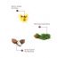 The Skin Story: Moringa & Shea Butter Facewash - Detoxifier - 100 ml