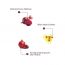 The Skin Story: Beetroot & Pomegranate Sulphate Free Foaming Facewash - 100ml
