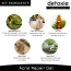 Detoxie: Anti-Stress Acne Repair Gel (35 ml)