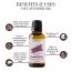 Essentia Extracts: Lavender Oil- (15 ml)