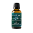 Baeyork: Eucalyptus Oil - 15 ml