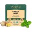 Vahdam Teas: Ginger Mint Green Tea 30gm