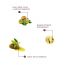 The Skin Story: Hair Mist with Kiwi Extract - UV Protection - 100 ml