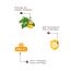 The Skin Story: Moringa Sunscreen - UVA & UVB Broad Spectrum Protection - Non Sticky - SPF 50+ - 100 gm