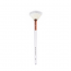 Boujee Beauty: Duo-Fibre Fan Brush, B105