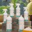 Ekomaze: All-purpose Cleaner - 450ml