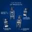 The Beard Story: Beard Softener Cream - 50 gm