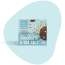 The Snack Company: Chocolate Sea Salt Cookies  210gm | Superfoods loaded Oat & Seed Cookies