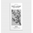 Secret Alchemist : Detox | Cellulite Oil - 100ml